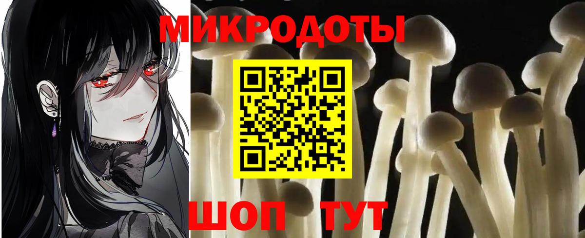Галлюциногенные грибы MAGIC MUSHROOMS  Вход с VPN  Назрань  Галлюциногенные грибы Psilocybe 