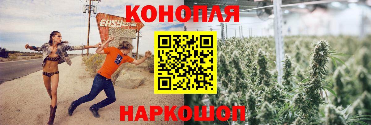 Бошки Шишки семена Назрань
